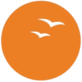 Suryoday Small finance Bank